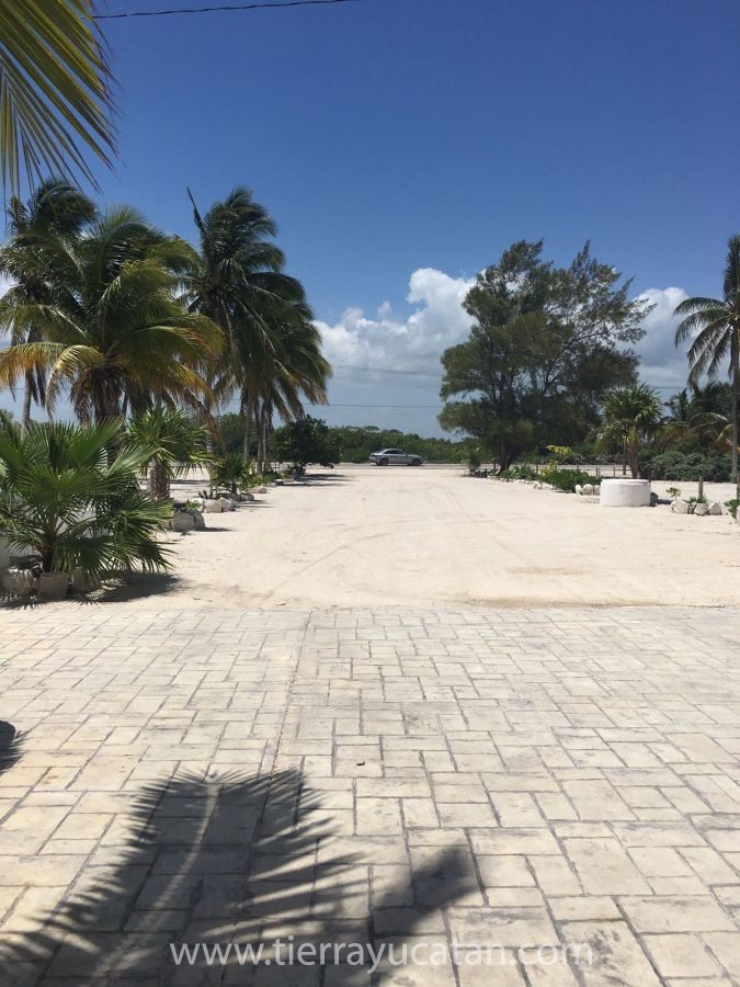Casa Frente al Mar de Uaymitun | la Casa de Abu — foto 10
