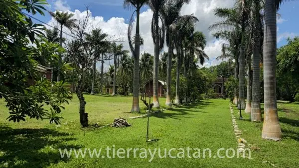 Hacienda Tradicional con Gran Potencial a Solo 45 Minutos de Mérida 9.5 Hectares — foto 2