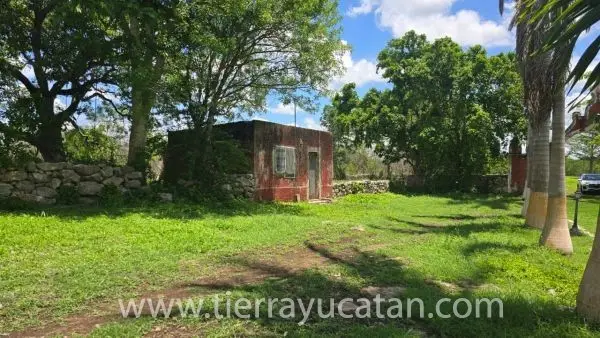 Hacienda Tradicional con Gran Potencial a Solo 45 Minutos de Mérida 9.5 Hectares — foto 4