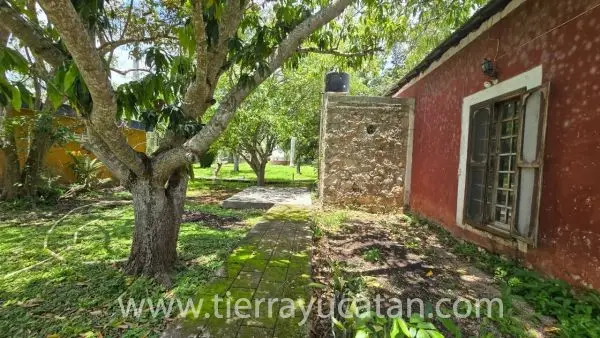 Hacienda Tradicional con Gran Potencial a Solo 45 Minutos de Mérida 9.5 Hectares — foto 6
