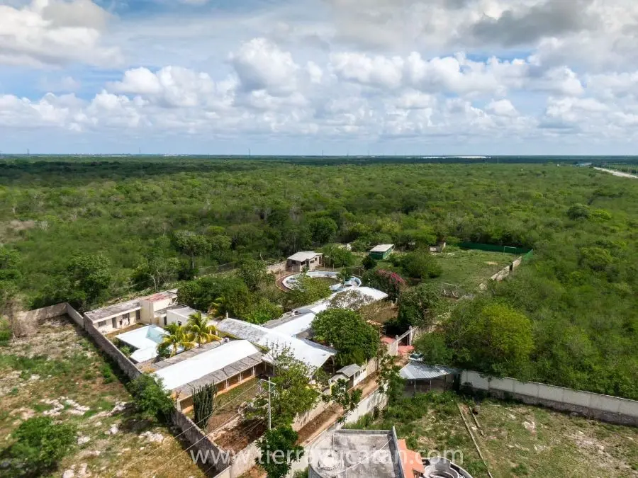 La Haciendita: Retiro Campestre Privado a Solo 12 Km de Mérida, Terreno Ampio con Cenote Oculto y Establos para Caballos — foto 4