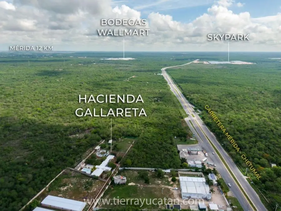 La Haciendita: Retiro Campestre Privado a Solo 12 Km de Mérida, Terreno Ampio con Cenote Oculto y Establos para Caballos — foto 5