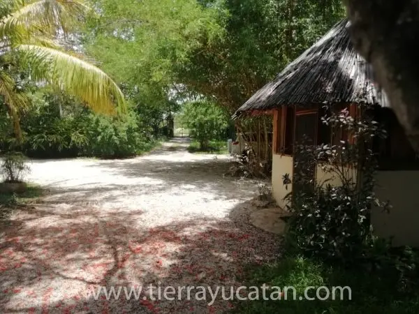 La Vida de Lujo en el Paraíso! — foto 4