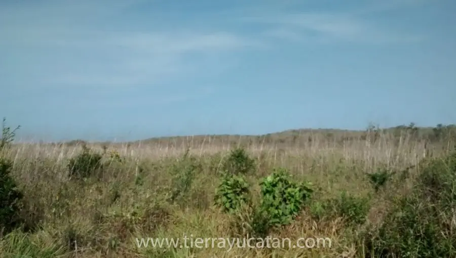 Hectáreas y Cerros en Campeche — foto 4