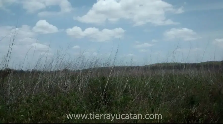 Hectáreas y Cerros en Campeche — foto 5