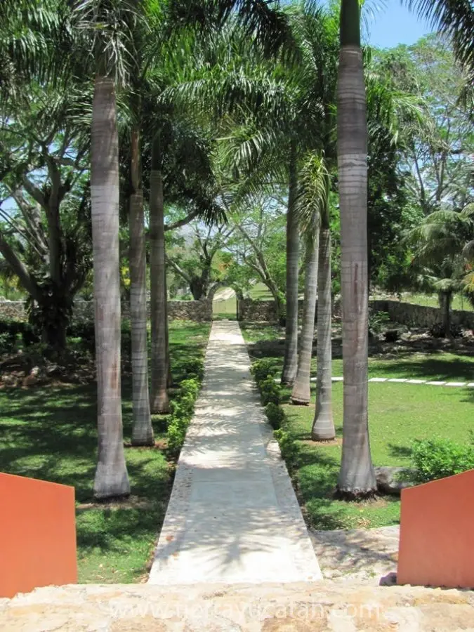 Hacienda San Jose Hoctun en Renta! — foto 4