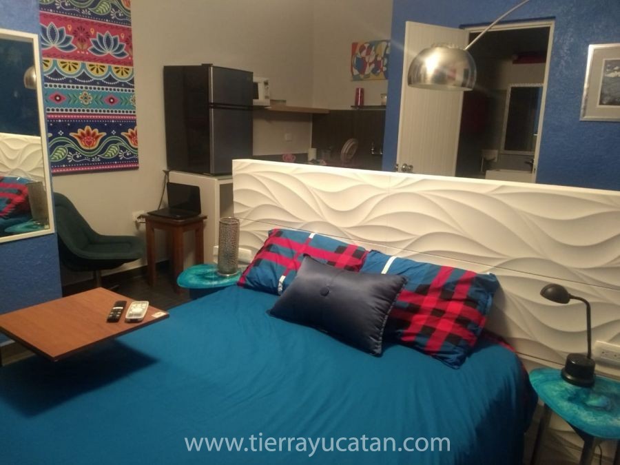 Estudio de la 64 — foto 3