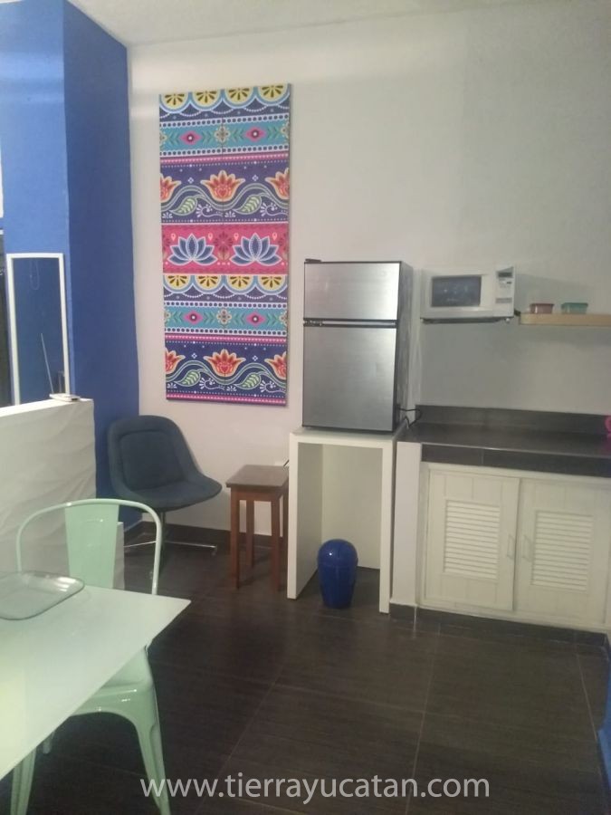 Estudio de la 64 — foto 4
