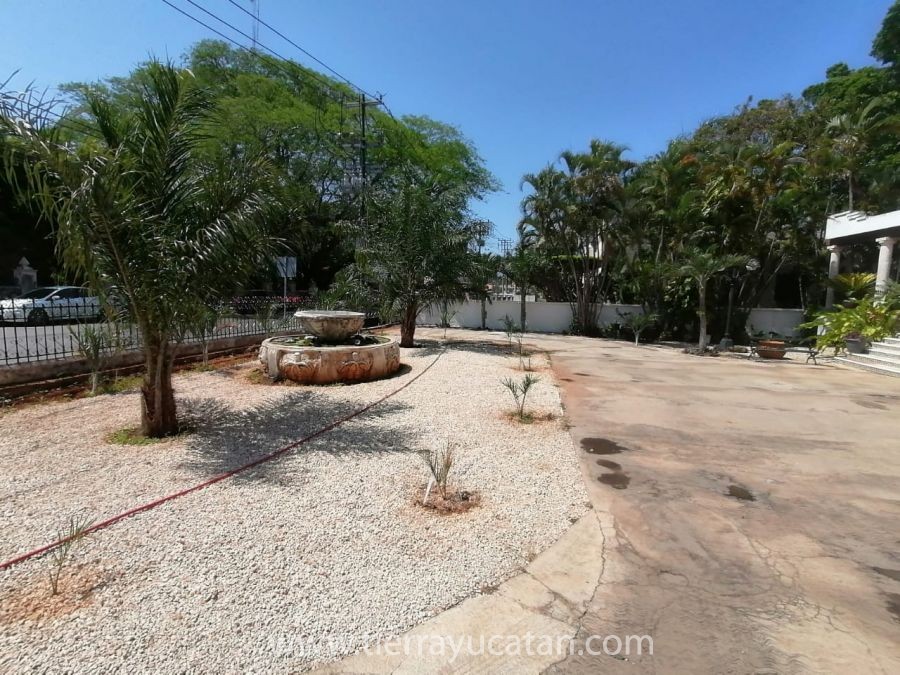 Mansion Colonial Atras de Paseo de Montejo — foto 8
