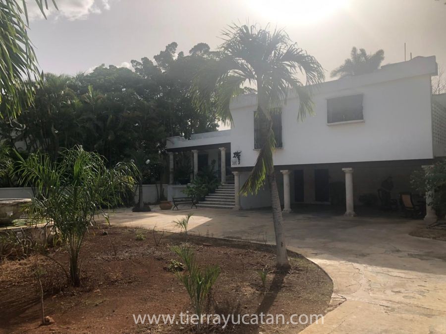 Mansion Colonial Atras de Paseo de Montejo — foto 10