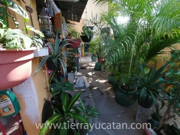 A un Lado del Parque la Iberica y a Pocas Cuadras de Paseo de Montejo! — foto 6