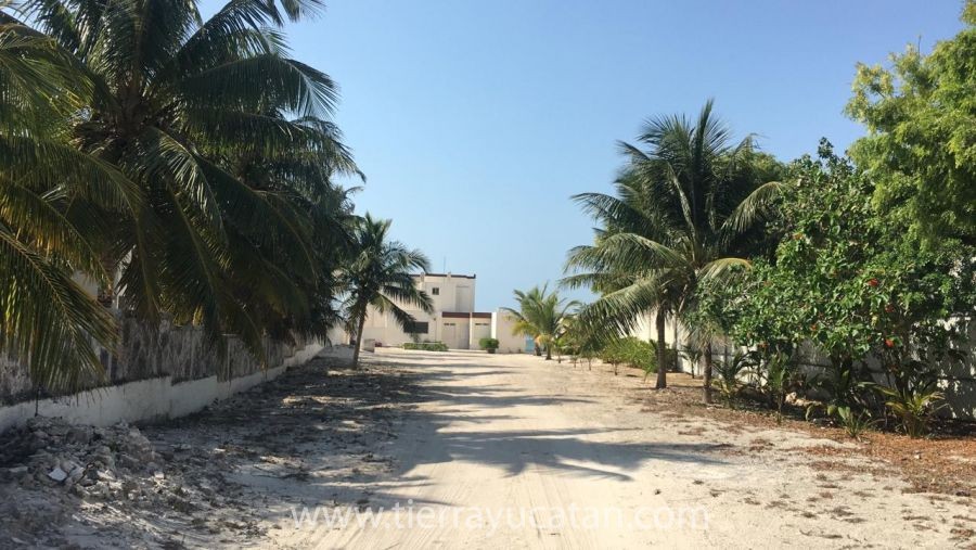 Villa Fototeca | Frente a la Playa de Uaymitun — foto 3