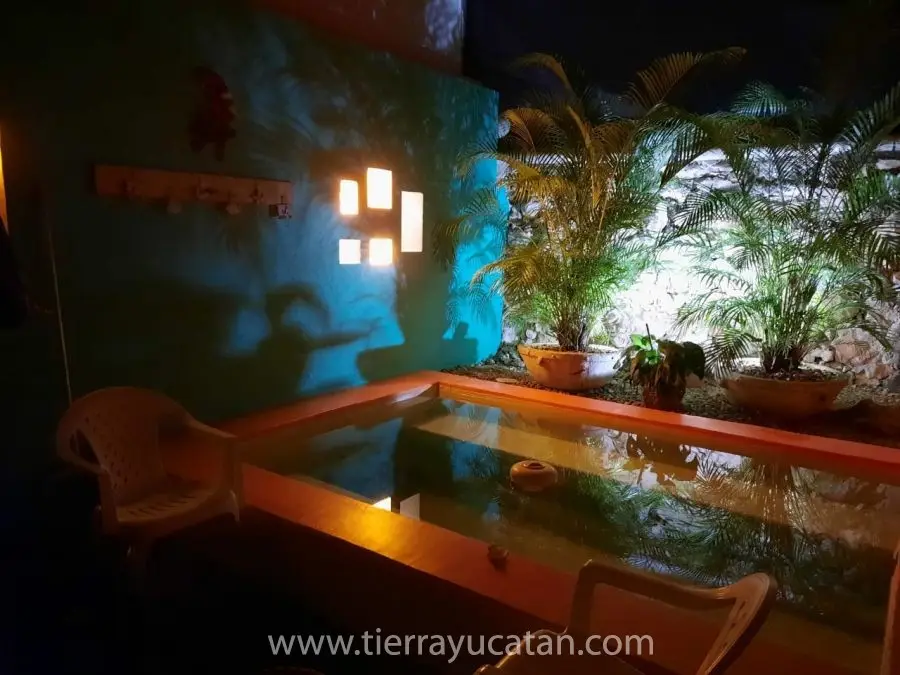 Encantadora Casa de 2 Pisos con una Ubicación Increíble en la Colonia Itzima, ¡Cerca de Todo! — foto 5
