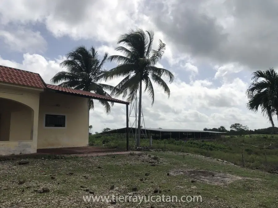 Impresionante Rancho con 12 Hectáreas de Terreno — foto 4