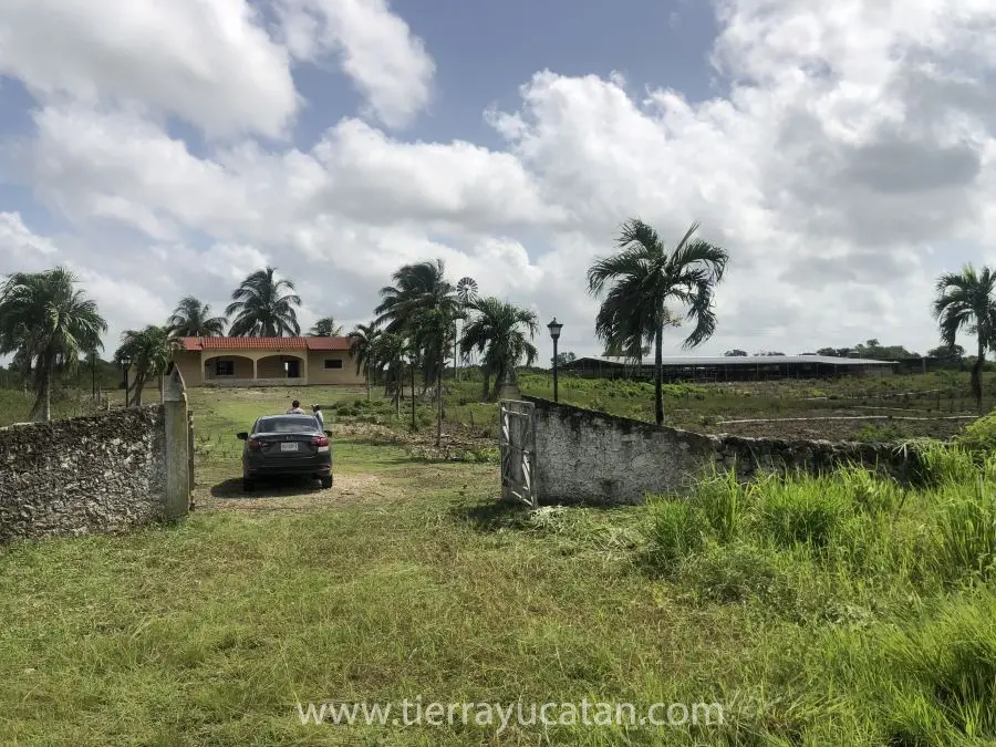 Impresionante Rancho con 12 Hectáreas de Terreno — foto 5