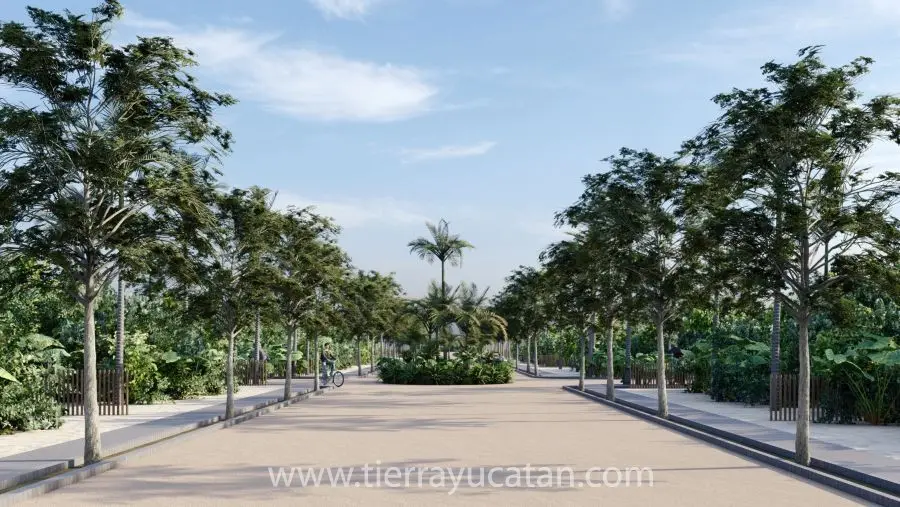 Último Lote Disponible en Playa Ixtul!!! No Te Pierdas Esta Oportunidad Única, la Playa Más Hermosa de Yucatán | Puerto de Chuburna | Casa Club — foto 6