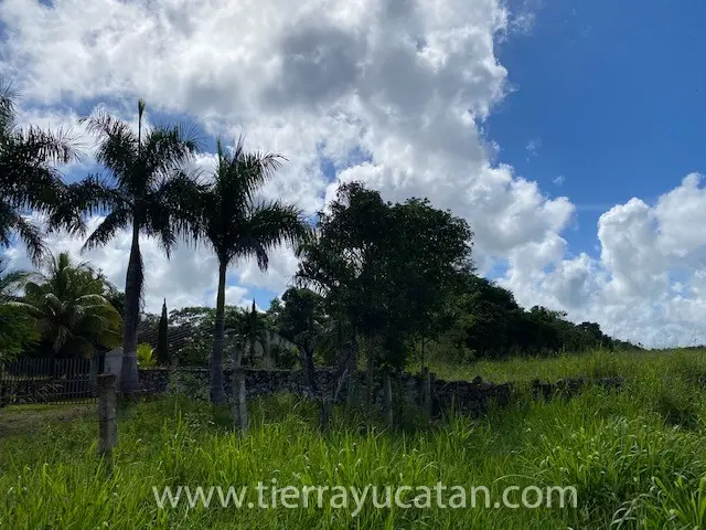 Rancho Osorio: Hermosa Ganadería en las Afueras de Tepakan — foto 3