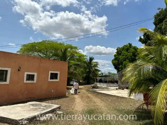 Rancho Chacmultun - 430 Hectáreas - Aguada y Cenotes — foto 3