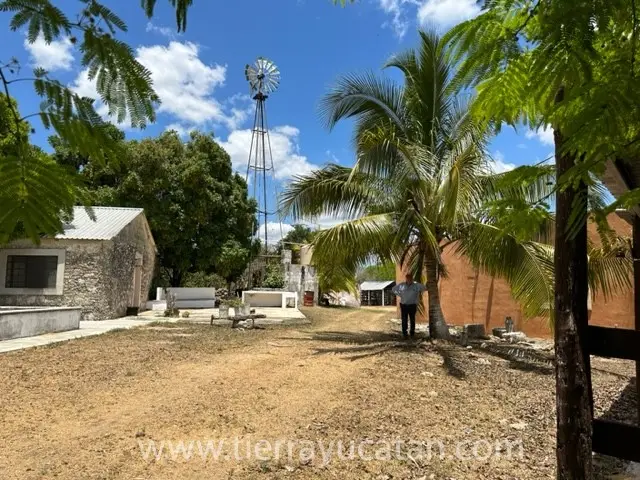 Rancho Chacmultun - 430 Hectáreas - Aguada y Cenotes — foto 4