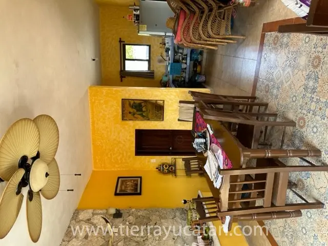 Rancho Chacmultun - 430 Hectáreas - Aguada y Cenotes — foto 6