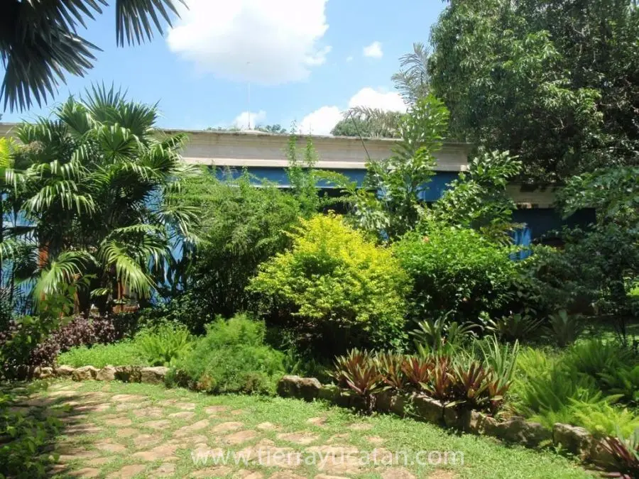 Amplia y Lujosa Residencia de Arte, con Diseño de Autor con Hermoso Jardín Dentro de la Ciudad de Mérida — foto 5