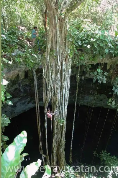 Cenote con 37 Hectáreas a Minutos de Valladolid — foto 2