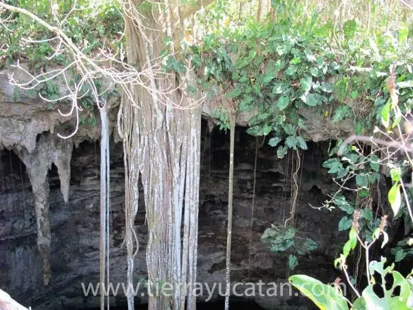Cenote con 37 Hectáreas a Minutos de Valladolid — foto 6