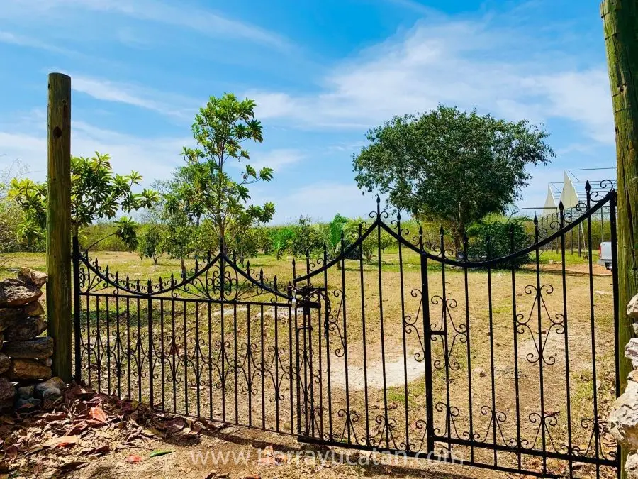 Rancho de Casi 8 Hectareas de Terreno en Yobain, con Árboles Frutales, Propiedad Privada No Ejido! — foto 2