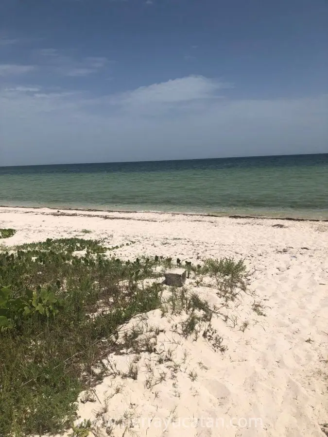 Increible Terreno Frente al Mar en la Playa de San Crisanto, una Fantástica Opción para Construir Tu Casa de Ensueño