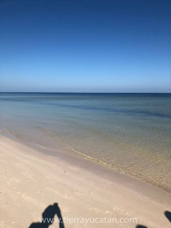 Increible Terreno Frente al Mar en la Playa de San Crisanto, una Fantástica Opción para Construir Tu Casa de Ensueño — foto 4