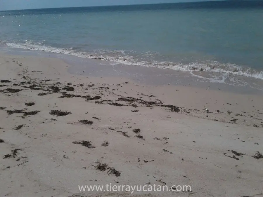 24.4ml Frente al Playa! Excelentes Vistas, Playa Virgen, un Sueño Hecho Realidad. Increíble Terreno Playa Blanca, Champotón, Campeche. — foto 2