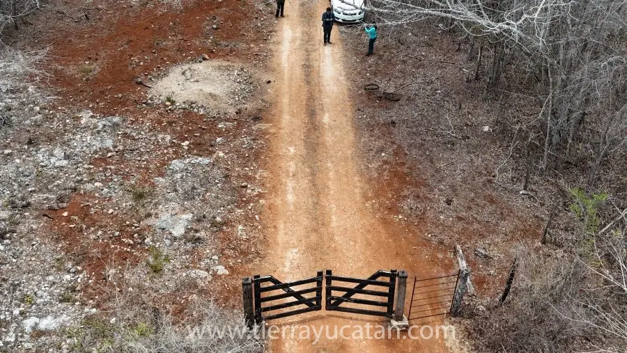 200 Hectáreas para Tu Sueño Rural: Rancho, Cultivo o Ecoturismo en Tekax — foto 4