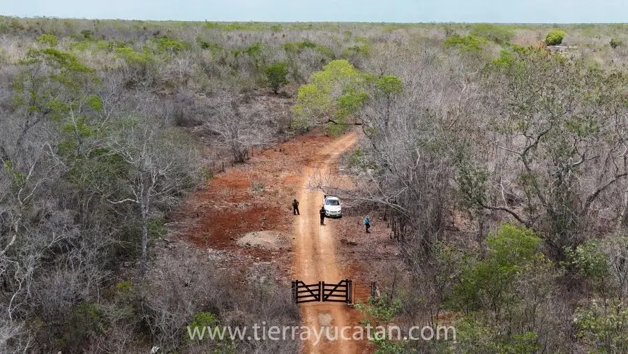 200 Hectáreas para Tu Sueño Rural: Rancho, Cultivo o Ecoturismo en Tekax — foto 5