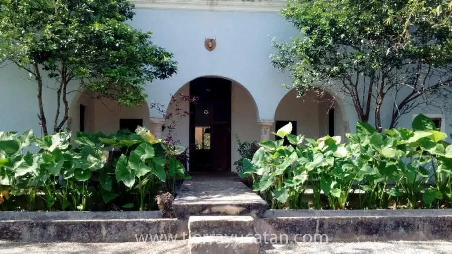 En Venta: Hermosa Hacienda Restaurada con Cenote Privado en Cuzamá, Yucatán. — foto 3