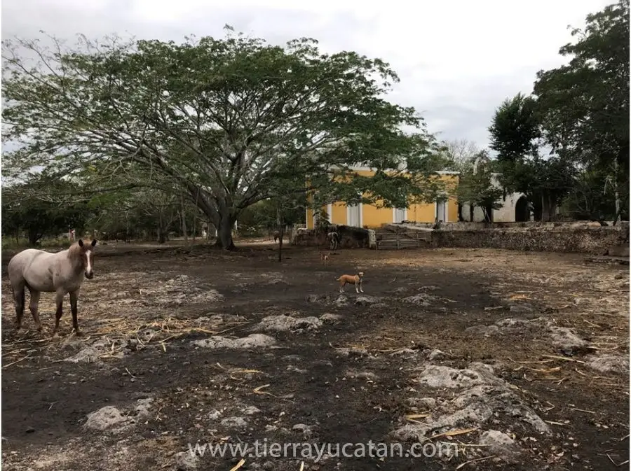 San José Sacbacalcán, el Verdadero Viejo Oeste de la Península — foto 6