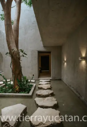 Casa Aknai — foto 5