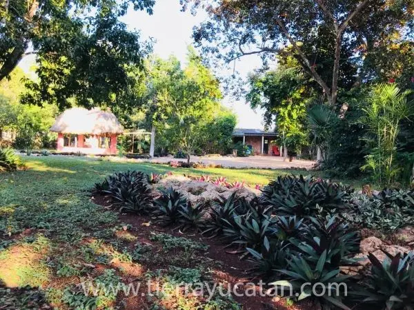 B&b en Santa Elena ¡Cerca de Uxmal en la Ruta Puuc! — foto 4