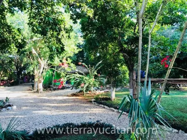 B&b en Santa Elena ¡Cerca de Uxmal en la Ruta Puuc! — foto 5