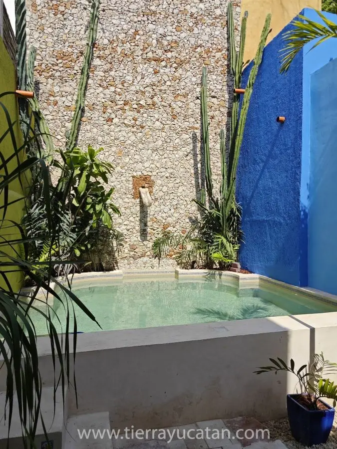 Casa Pitahaya en Renta, un Oasis Perfecto en Mérida Centro para Tu Próxima Temporada — foto 8