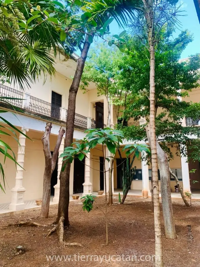 Edificio Colonial, Joya Histórica Testigo de Increíbles Sueños con Uso Comercial, Ahora Se Encuentra en Renta. — foto 6