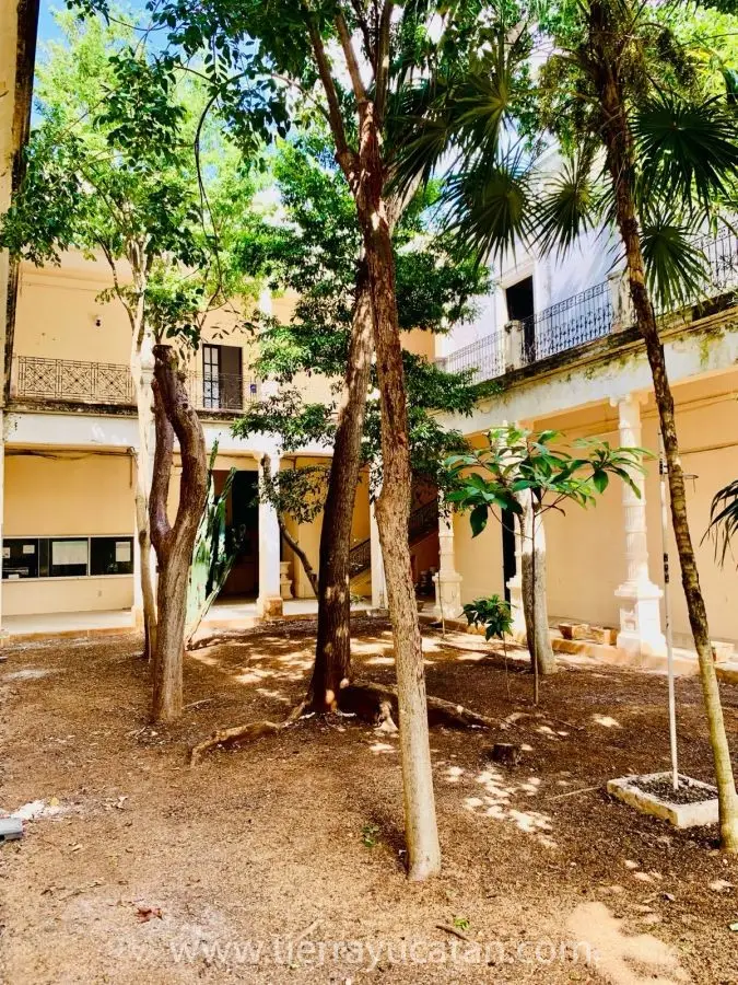 Edificio Colonial, Joya Histórica Testigo de Increíbles Sueños con Uso Comercial, Ahora Se Encuentra en Renta. — foto 8