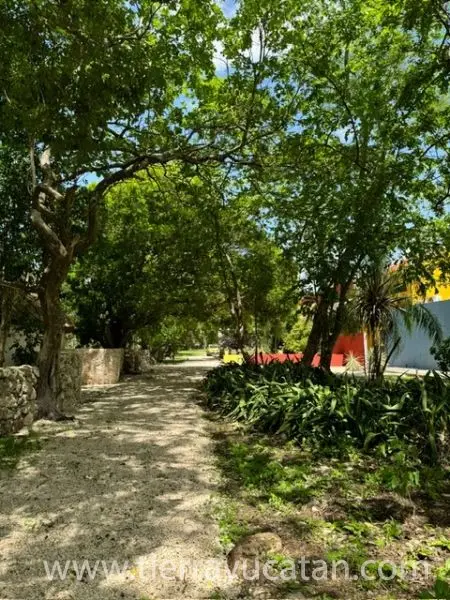 ¡Imprescindible! ¡Oferta Espectacular! Hacienda Spa/Retiro Cerca de Sisal. — foto 5