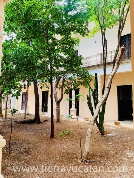 Joya Histórica en Renta en el Centro de Mérida – ¡Tu Futuro Proyecto de Hotel Boutique! — foto 2