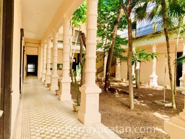 Joya Histórica en Renta en el Centro de Mérida – ¡Tu Futuro Proyecto de Hotel Boutique! — foto 5