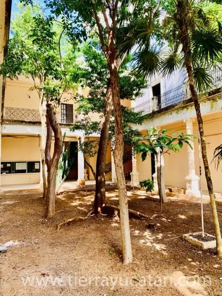 Joya Histórica en Renta en el Centro de Mérida – ¡Tu Futuro Proyecto de Hotel Boutique! — foto 7