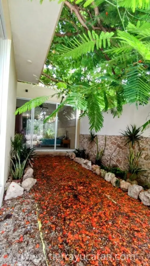 Casa Yaxché en Barrio de Santiago Centro — foto 6