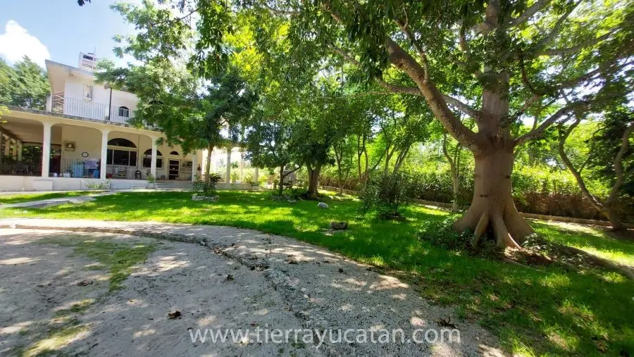 Casa de Campo en Izamal a 15 Min del Tren Maya – Paz, Espacio y Tradición a Tu Alcance