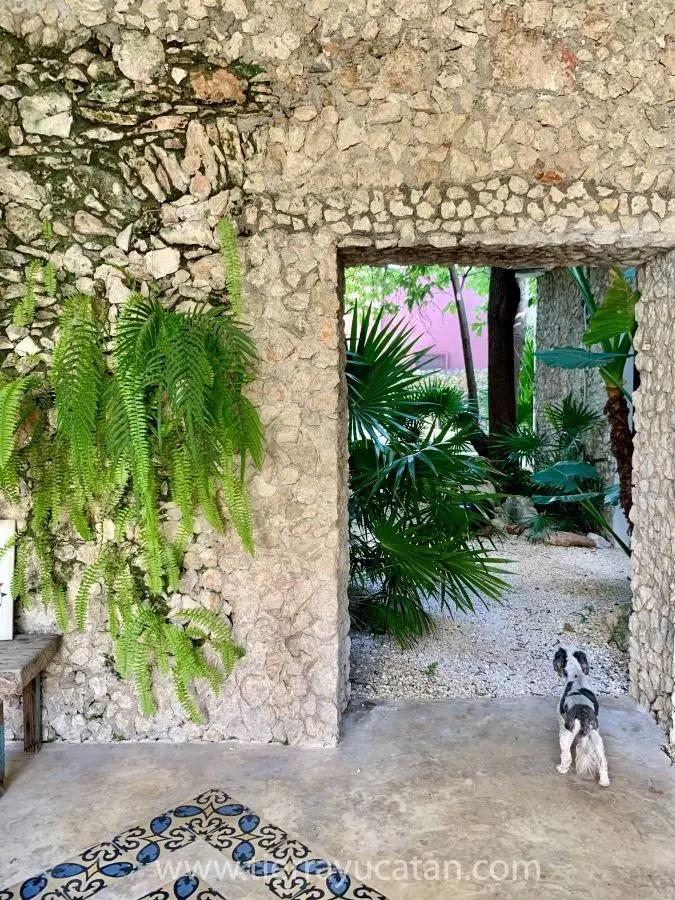 Una Encantadora Casa en el Barrio Mágico de la Ermita, Amueblada con Auténticas Antigüedades Yucatecas. — foto 2