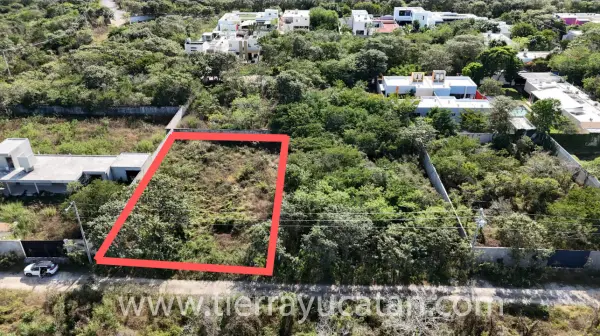 Terreno Residencial Abierto 1,000 M² San Luis Cholul