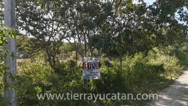 Terreno Residencial Abierto 1,000 M² San Luis Cholul — foto 2